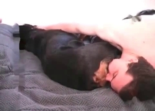 Black dog enjoying XXX fingering