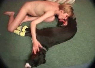 Black dog gets a nice blowjob