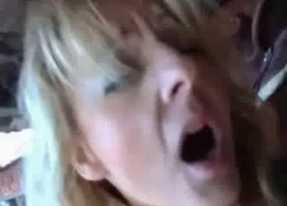 Horse cock pleasured by a gorgeous babe