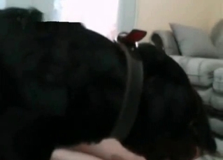 Girl and her dog going ass-to-ass