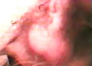 Delicious cock licked by a dog