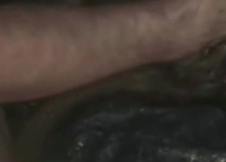 Throbbing boner for a cute dog