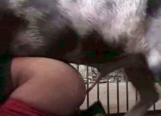 Huge cumshot from a tiny pony