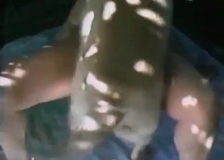 Dirty banging with a horny doggo