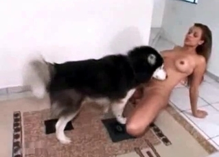Slim chick fucking a horny husky