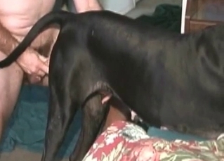 Animal sex with a horny-ass dude