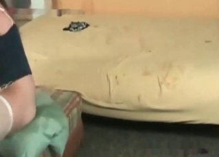 Pussy juices cleaned by a dog