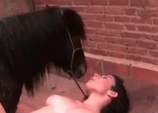 Dripping pussy drilled by a dog