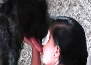 Mask-wearing slut fucking a hairy dog