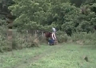 Tiny horse gets so much pleasure