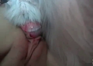 Zoo pornography shown up close