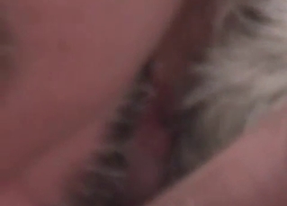 Dog has a sexual awakening in this vid