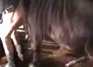 Hung horse railing that tight pussy