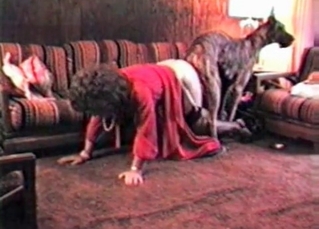 Dirty pet fucking a submissive human