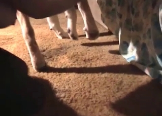 Dog fucking a MILF blonde on cam