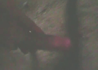 Take a look at this hard animal dick