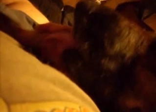 Playful dog licks my loaded sausage