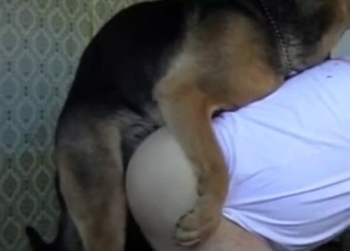 Shepherd impales his lovely owner