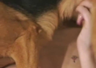 Skinny blonde and two dogs in 3some