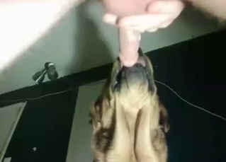 Insane close-up penetration here