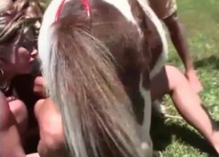 Outdoors BJ from a dark-haired slut