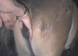 Dude assaults that hot animal pussy