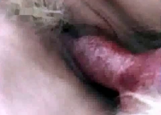 Tight mutt fucks a boots-wearing slut