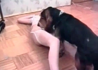 Horny dog fucking a MILFy wife