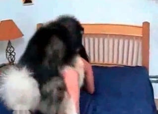 Gorgeous chick and a husky dick