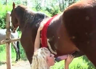 Horny mustang always gets his prey