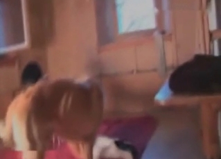 Crazy pet loves dominating the owner