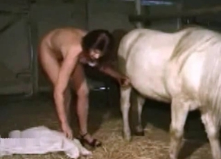 Horny horse and a sexy-ass MILF