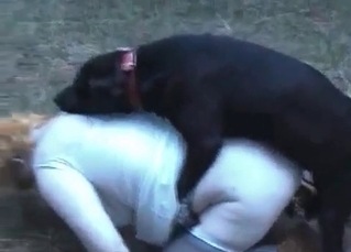 Two bitches for one horny dog