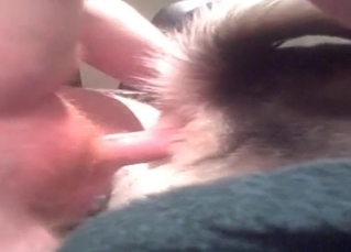 Husky's hot ass gets fucked