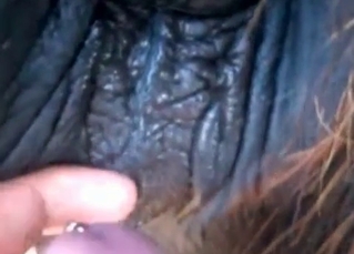 Mustang is into big cocks only