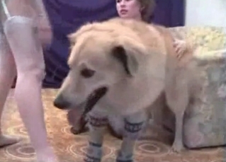 Cute-looking babe corrupted by a dog