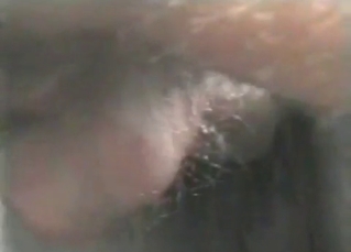 Horse loves huge cocks only