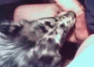 Kinky owner and a really cute puppy