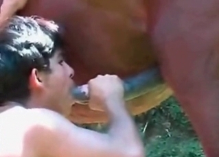 Horse cum is the tastiest to him