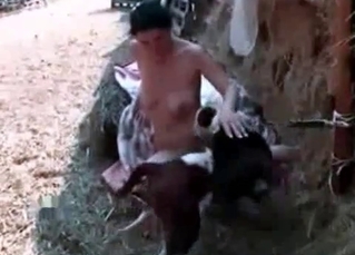 Nice blowjob for a chill-ass dog