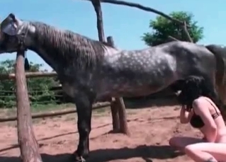 Curly zoophile chick loves horse dick