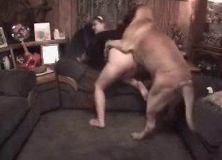 Dog's cock stroked by a slave