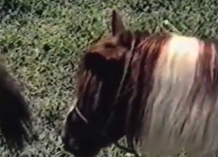 Cute whore enjoying dirty farm fucking