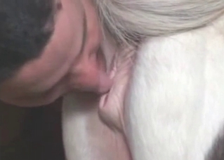 Animal's ass gets worshiped by a dude