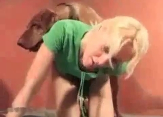 Cute dog enjoying this blonde's holes