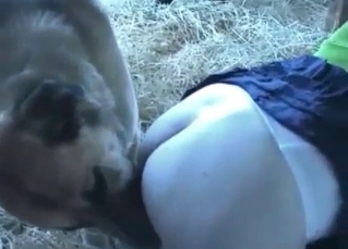 Zoo fucking with a hot-ass MILF