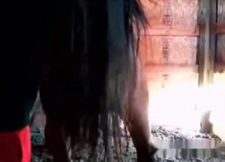 Horny horse enjoying banging in a barn