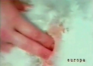 Dirty drilling for a sexy small dog