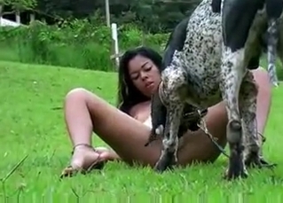 Tied-up doggo forced to watch her