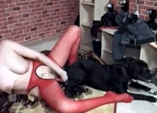 Dirty dog going ass-to-pussy on cam